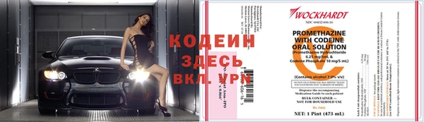 сатива Белокуриха