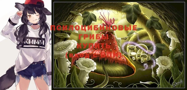 бошки Беломорск