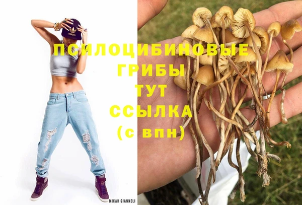 бошки Беломорск