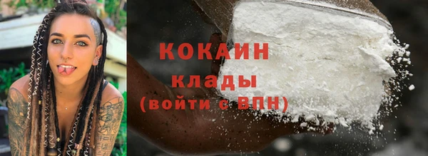 сатива Белокуриха